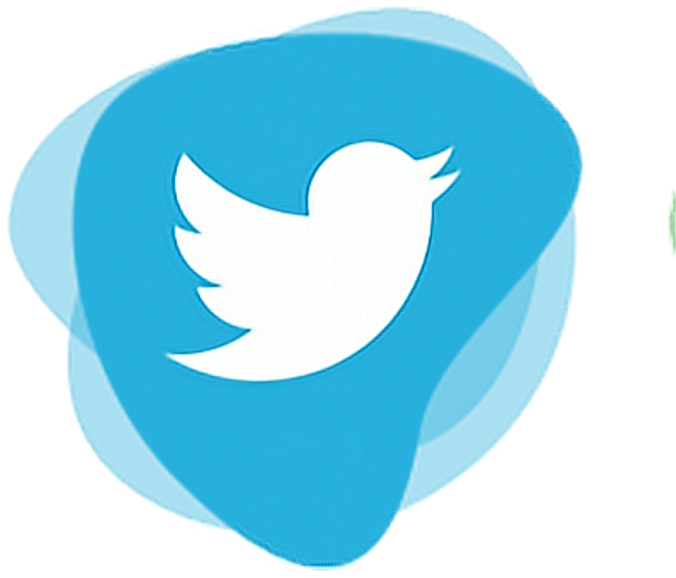 Twitter Logo PNG Images - PNGImages.com