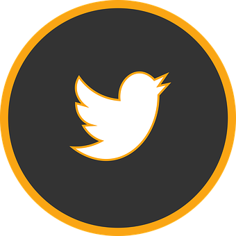 Twitter Logo Orangeand Black PNG Image