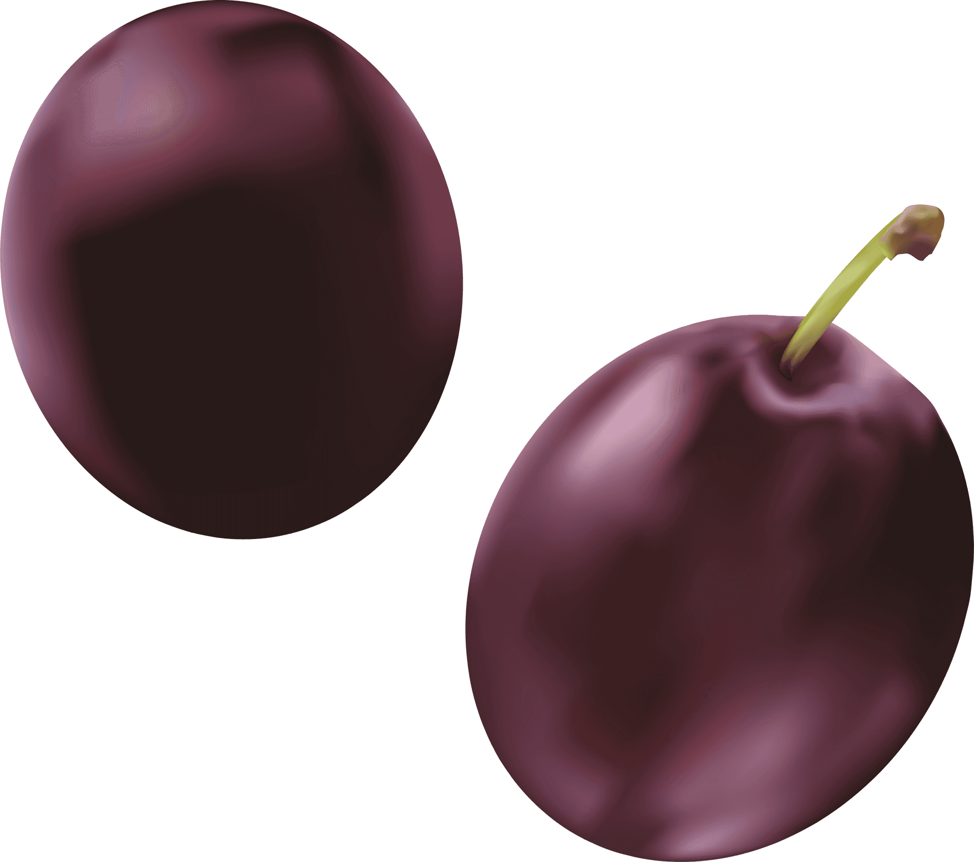 Two Plums Digital Artwork PNG Image