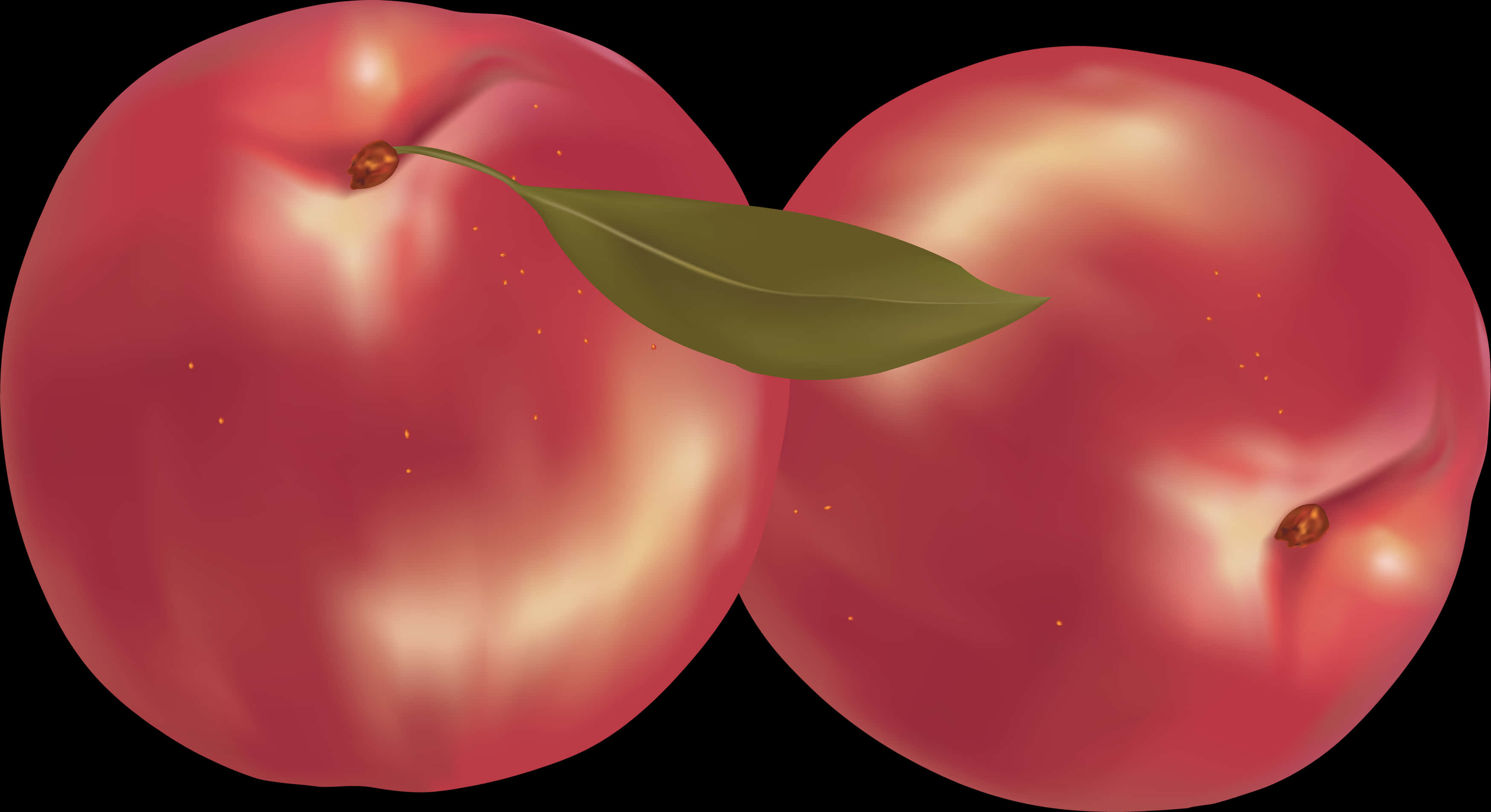 Two Ripe Peaches Illustration PNG Image