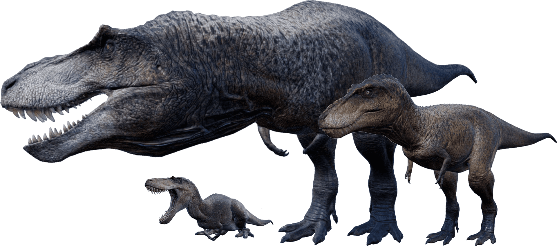 Tyrannosaurus Rex Family Evolution PNG Image