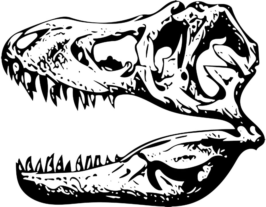 Tyrannosaurus Rex Skull Vector PNG Image