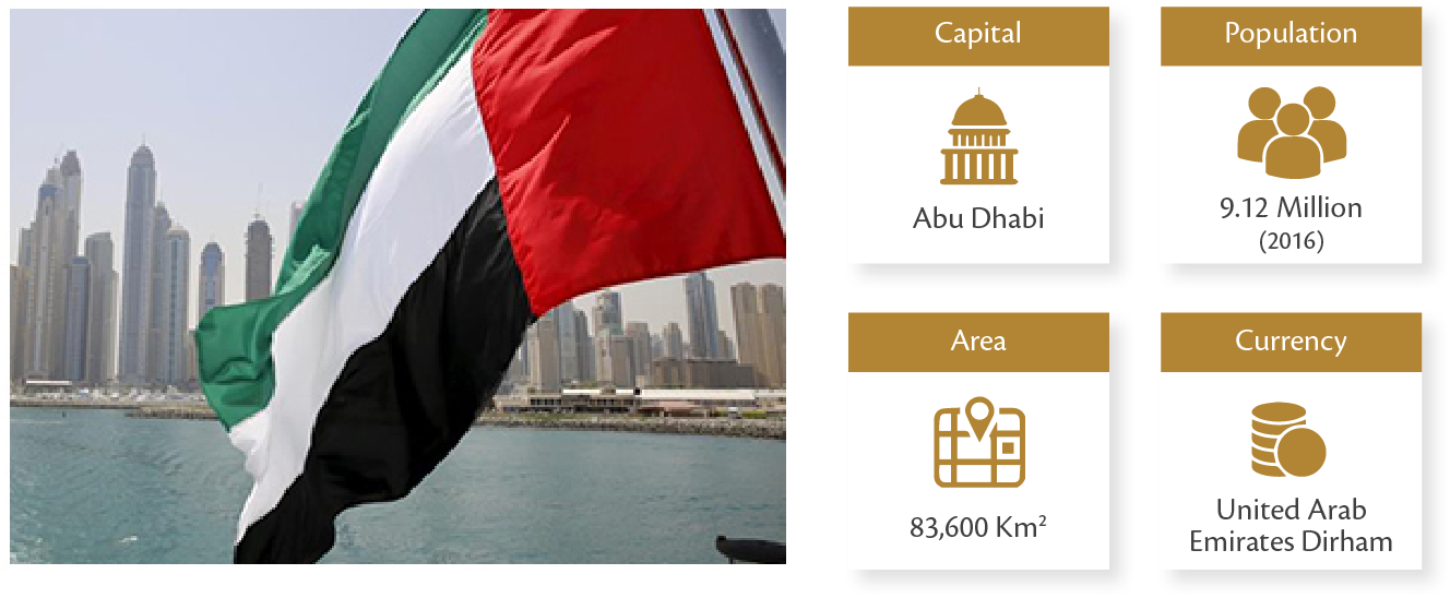 U A E Flag Dubai Skyline Infographic PNG Image