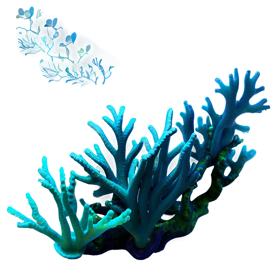 Underwater Coral Reef Png 55 PNG Image