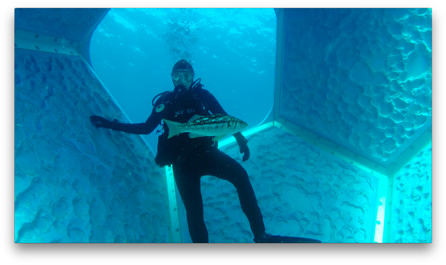 Underwater Diverwith Fishin Submerged Structure PNG Image