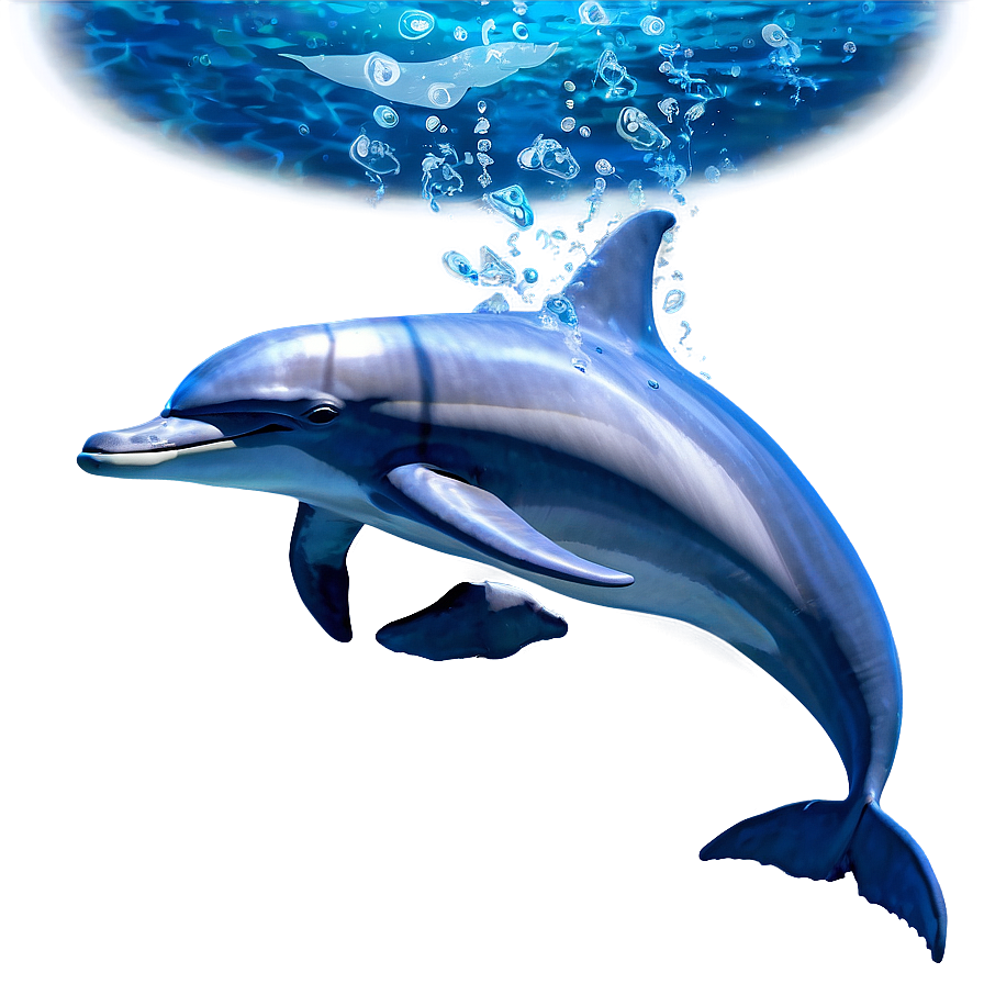 Underwater Dolphins Png Qeh PNG Image