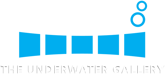 Underwater Gallery Logo Design PNG Image