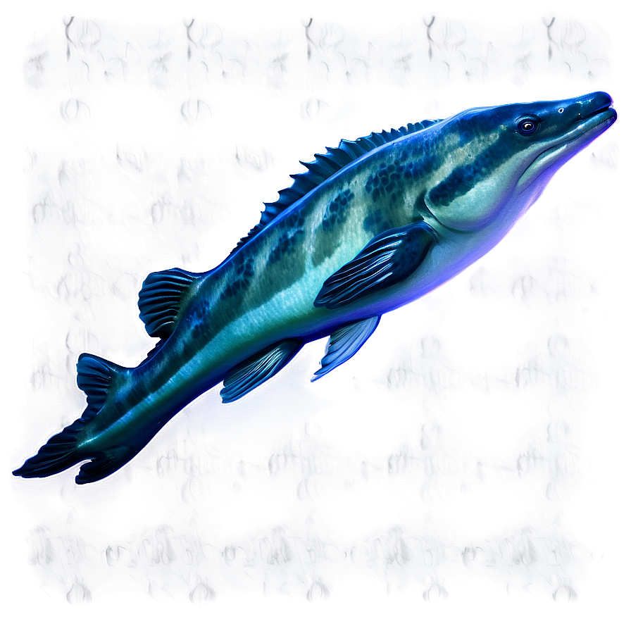 Underwater Night Png 85 PNG Image