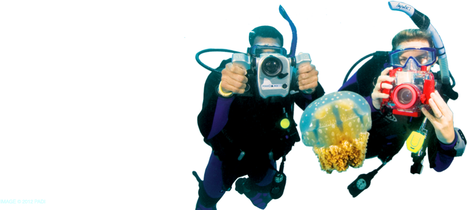 Underwater_ Photographers_ With_ Jellyfish.png PNG Image