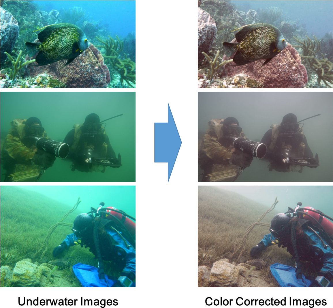 Underwater Photography Before After Color Correction PNG Image