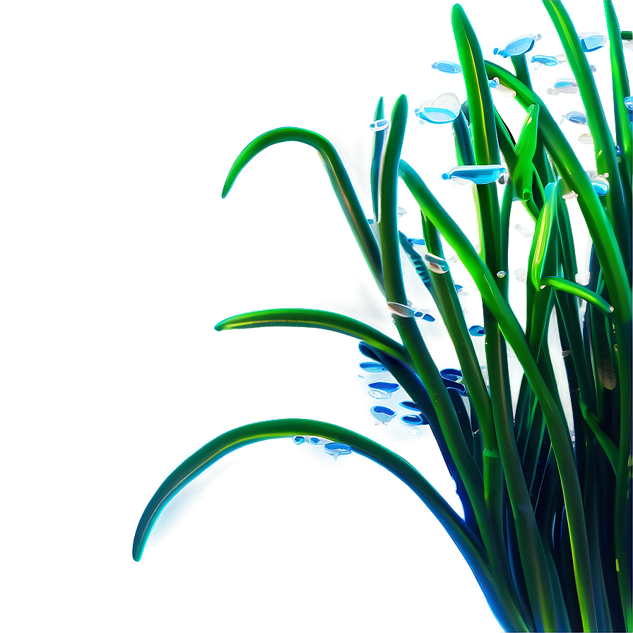 Underwater Seagrass Png Dsj21 PNG Image