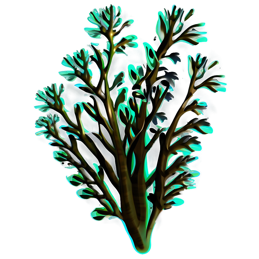 Underwater Seaweed Clipart Png Fcv78 PNG Image