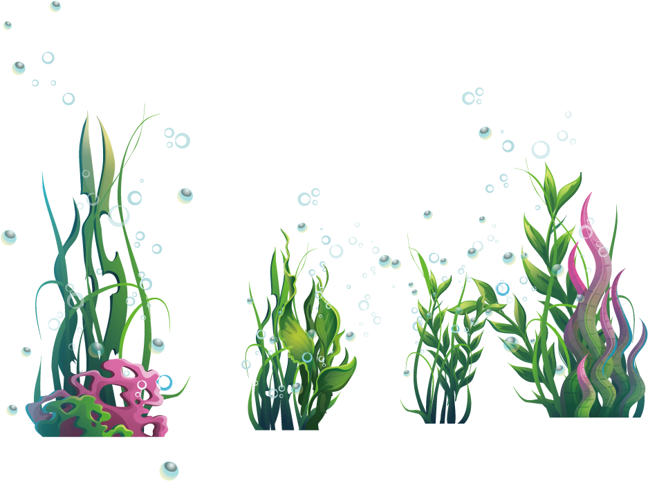 Underwater Seaweed Clustersand Bubbles PNG Image