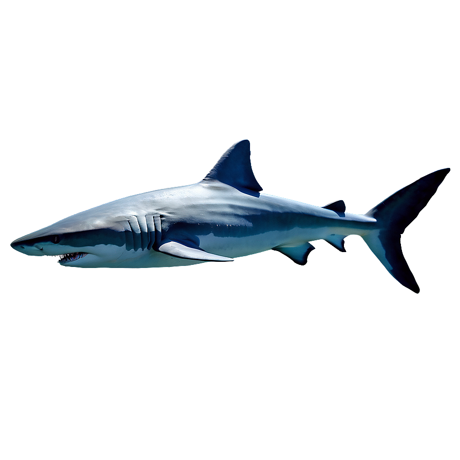 Underwater Sharks Png 97 PNG Image