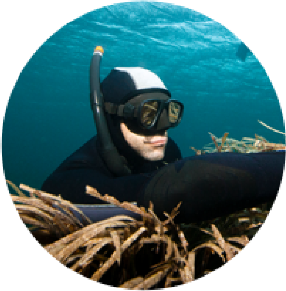 Underwater_ Snorkeler_ Adventure.jpg PNG Image