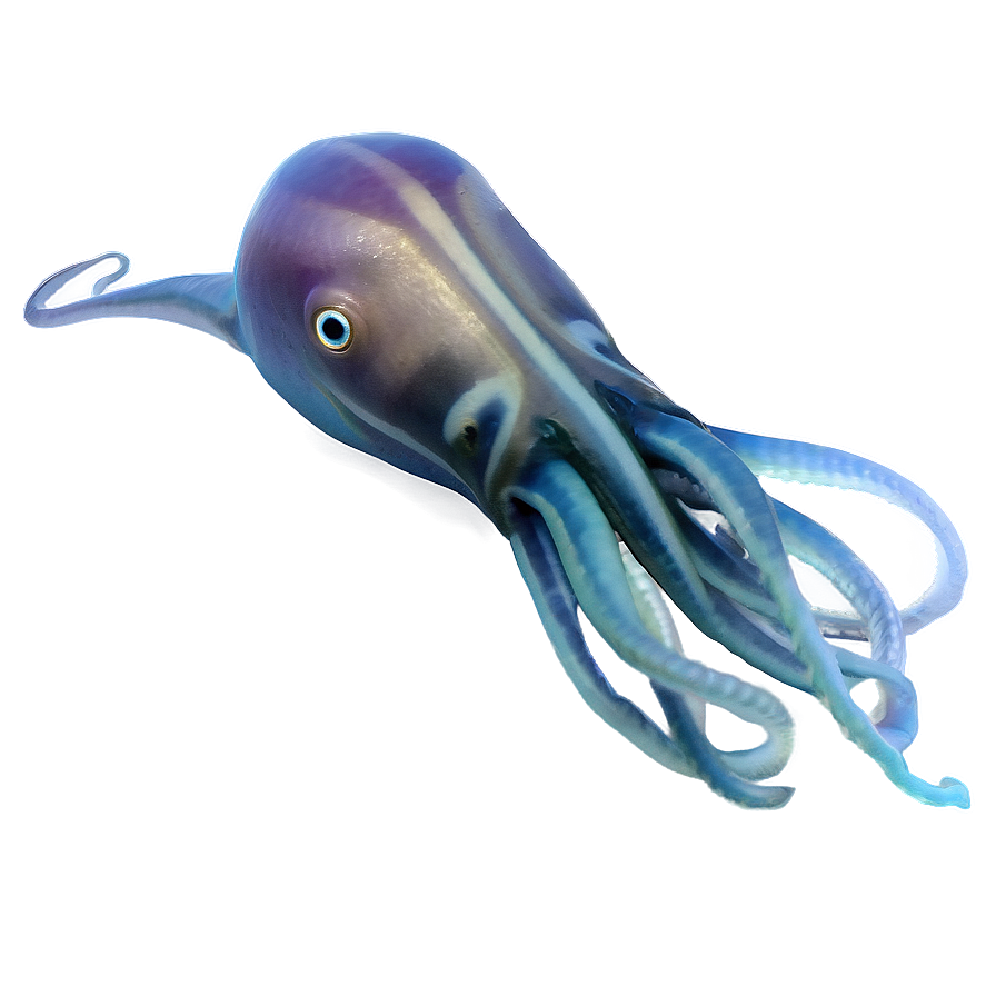 Underwater Squid Png 06232024 PNG Image