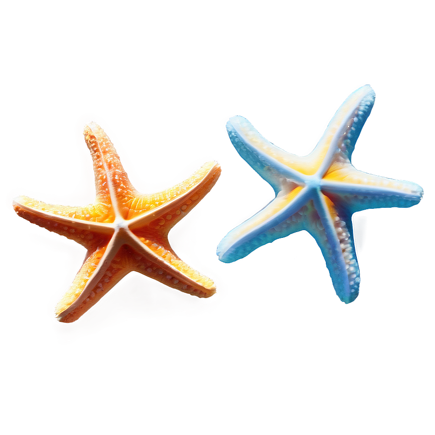 Underwater Starfish Png 93 PNG Image