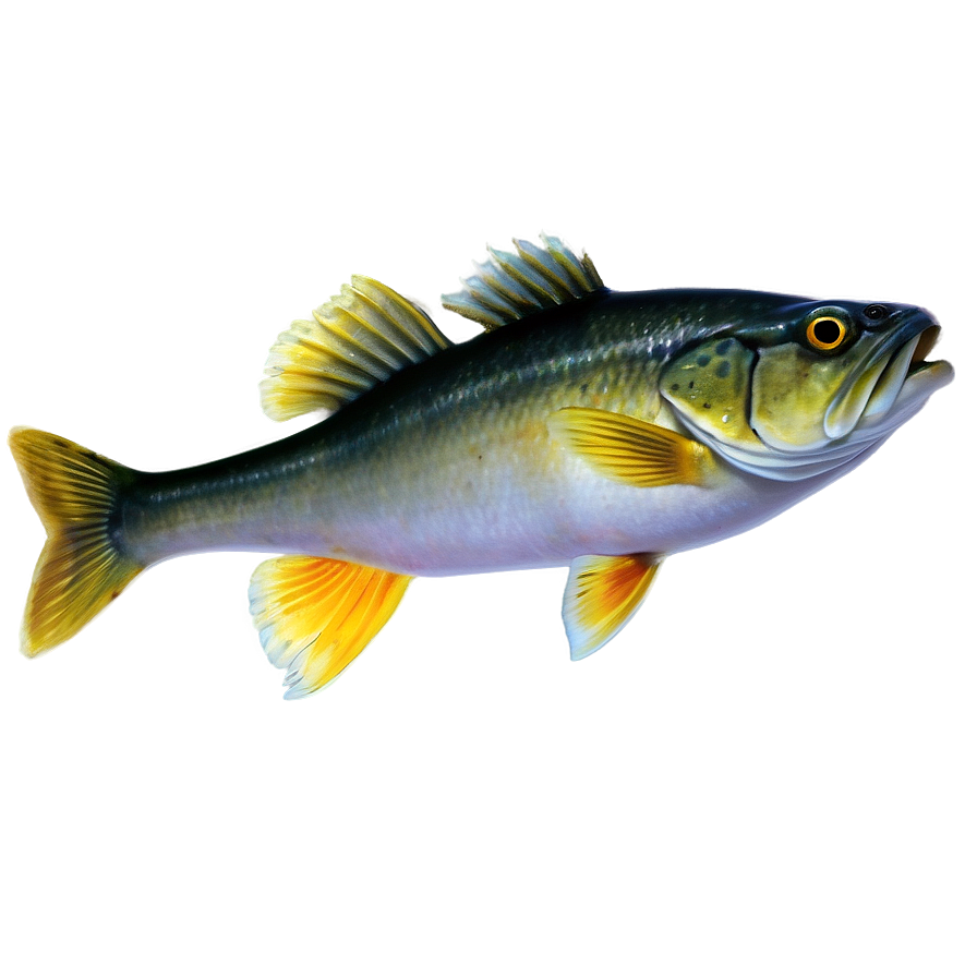 Underwater Walleye Png Yuk PNG Image