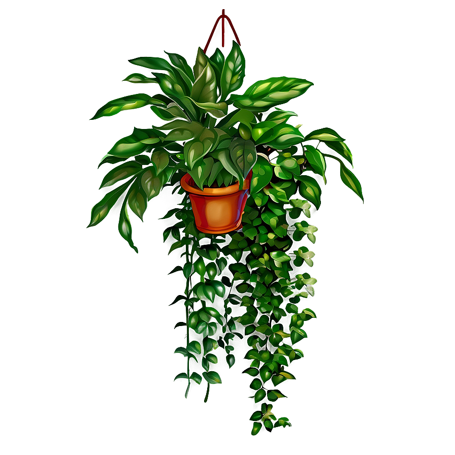 Unique Hanging Plant Png 05252024 PNG Image