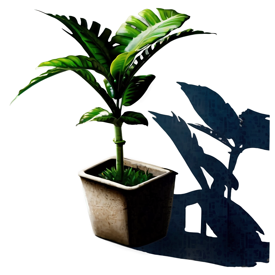 Urban Plant Shadow Png 31 PNG Image