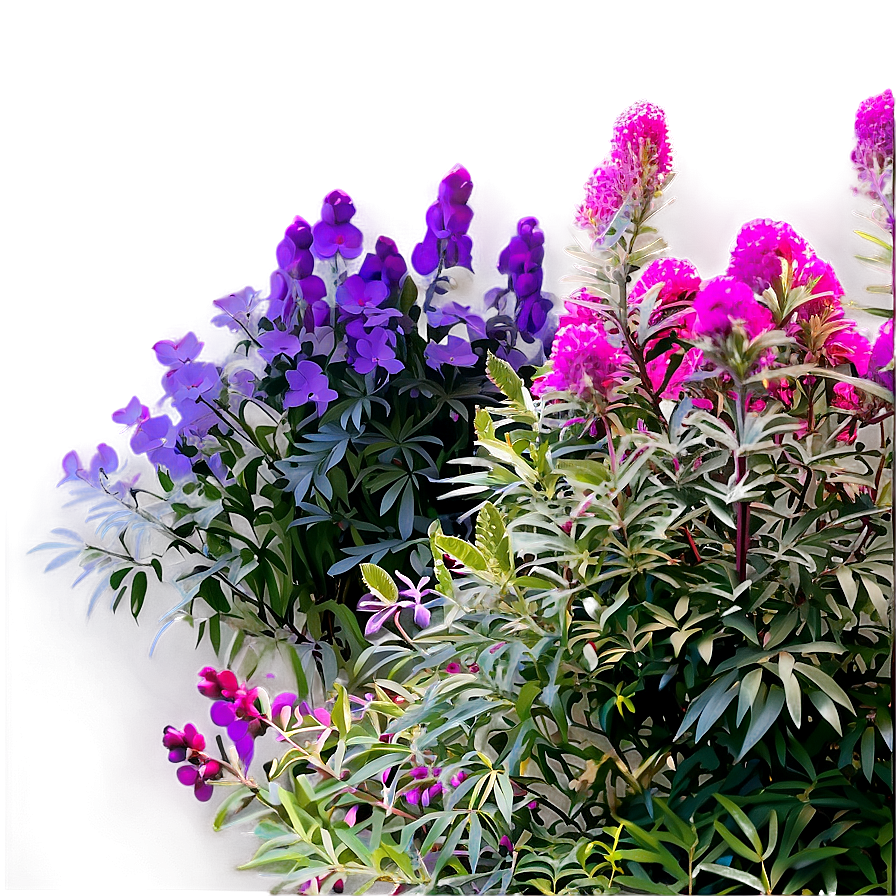 Urban Tolerant Shrubs Png 84 PNG Image