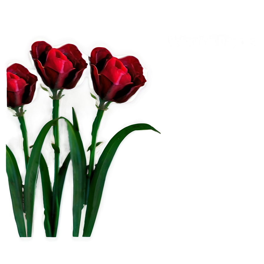 Valentine's Day Flowers Png 05242024 PNG Image