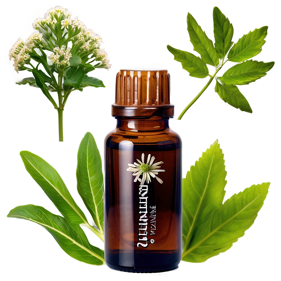 Valerian Essential Oil Png Dmn PNG Image