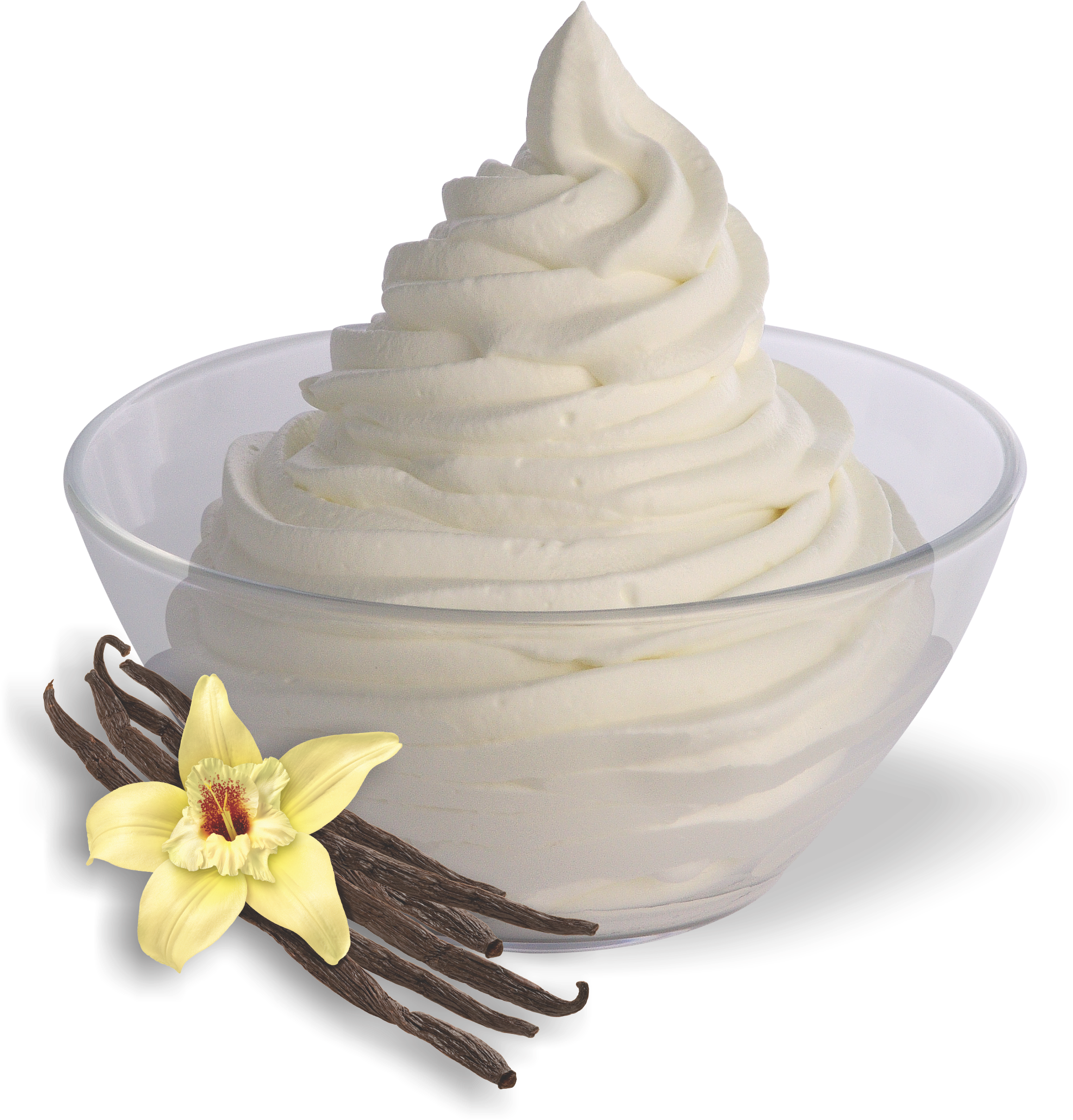 Vanilla Frozen Yogurtwith Vanilla Beans PNG Image