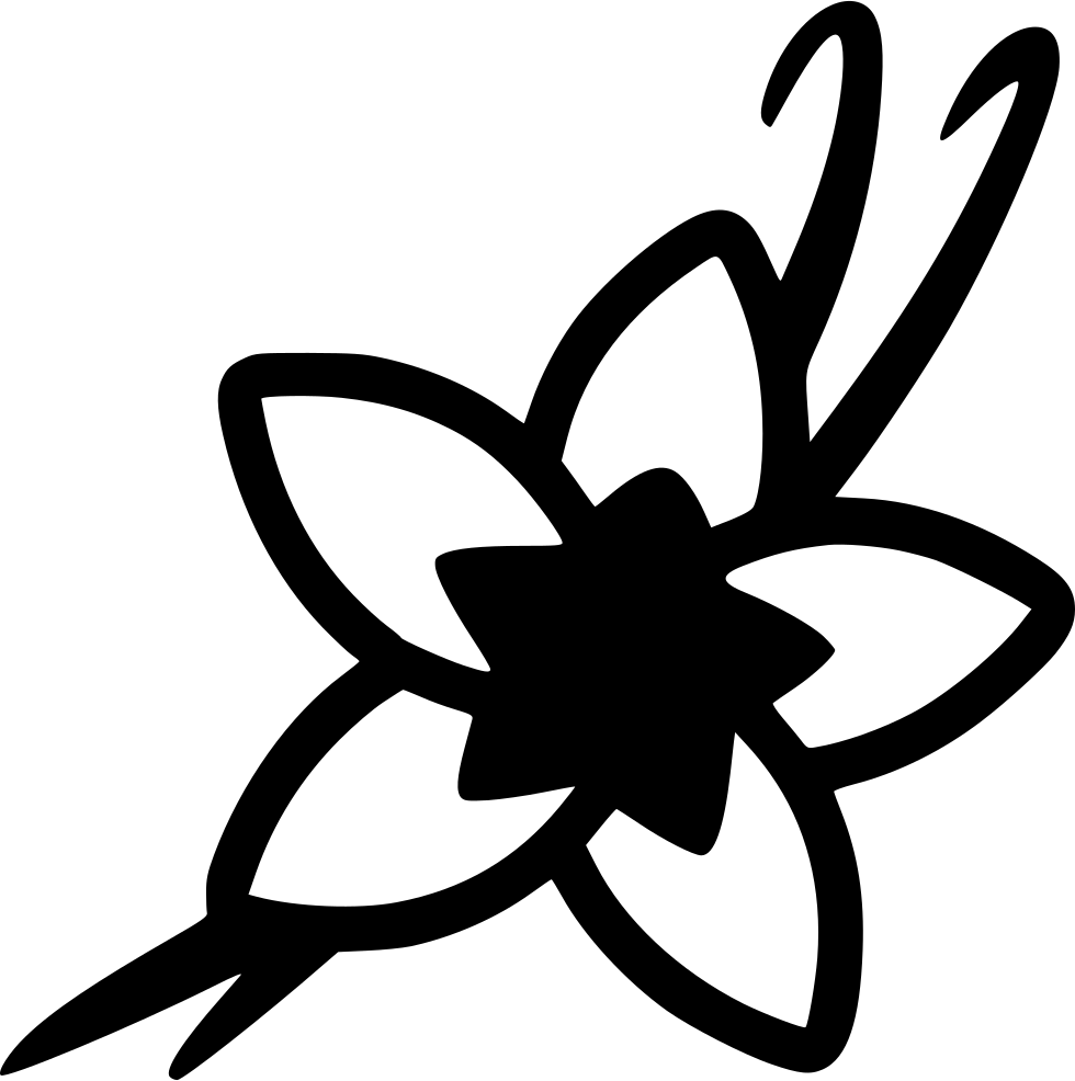 Vanilla Orchid Silhouette PNG Image