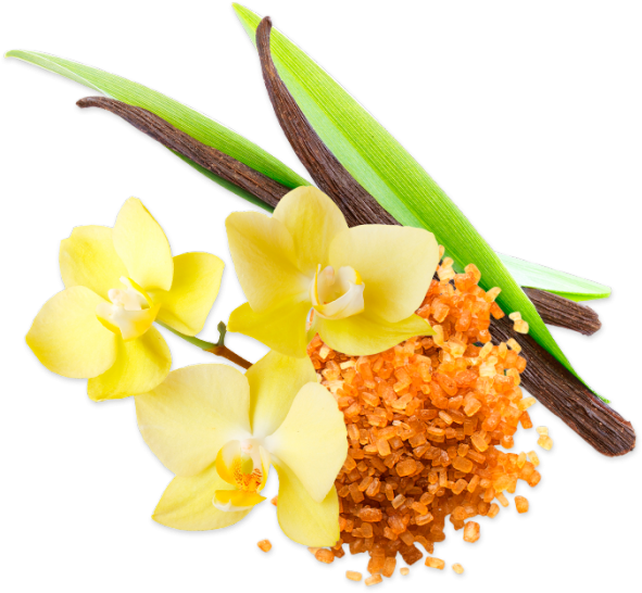 Vanilla Orchidand Podswith Crystals PNG Image