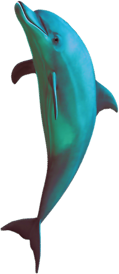 Vaporwave Dolphin Graphic PNG Image