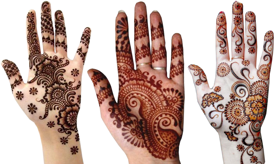 Variety_of_ Mehndi_ Designs_on_ Hands PNG Image