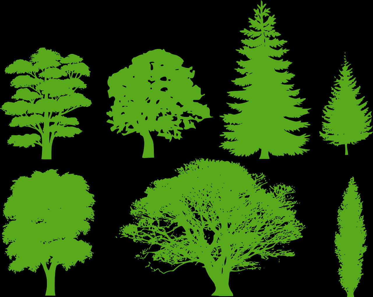 Varietyof Green Tree Silhouettes PNG Image