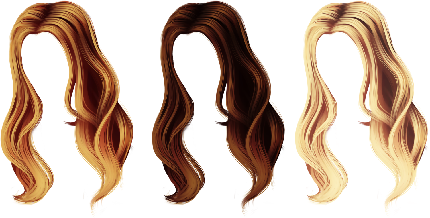 Varietyof Hair Colorsand Styles PNG Image