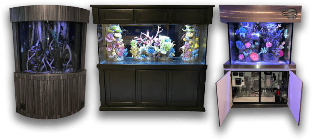 Varietyof Home Aquariums PNG Image