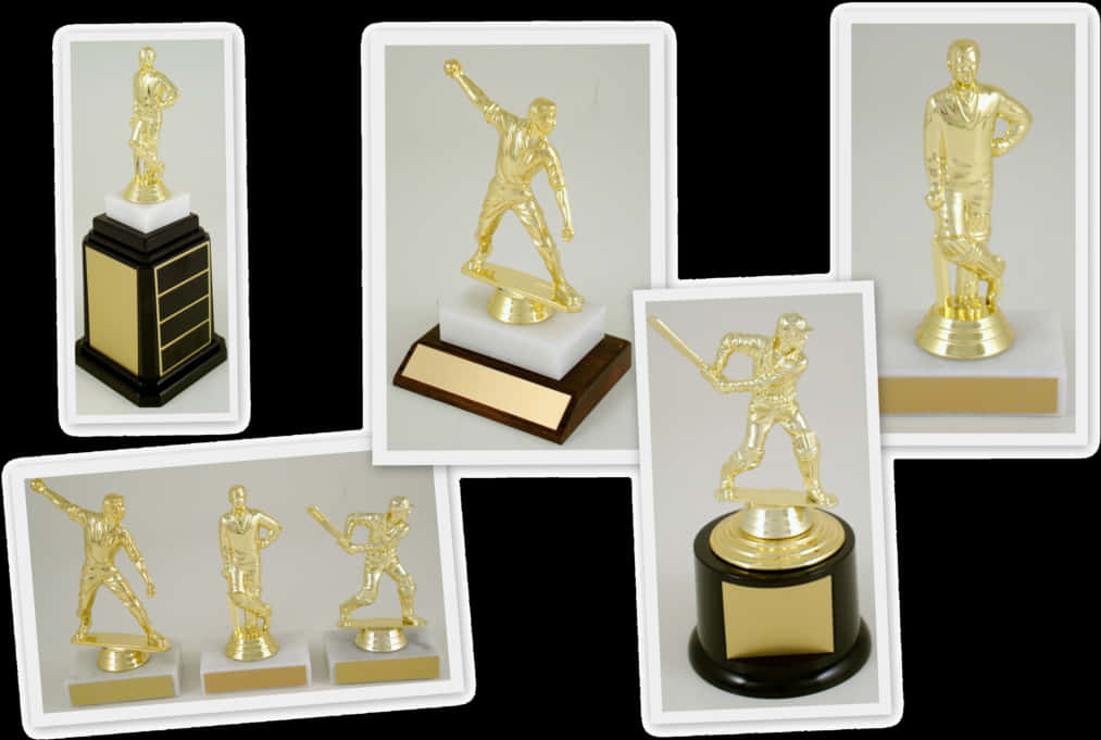 Varietyof Sports Trophies Collection PNG Image