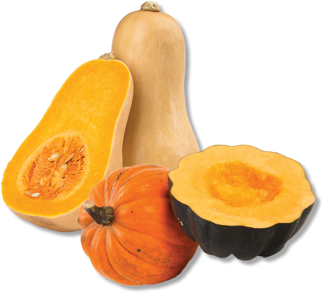 Varietyof Squash Display.png PNG Image