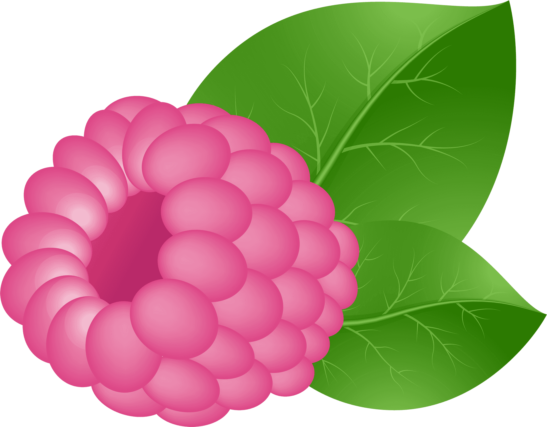 Vector Illustrationof Raspberry PNG Image