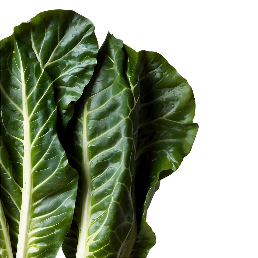 Vegan Collard Greens Png Sfq40 PNG Image