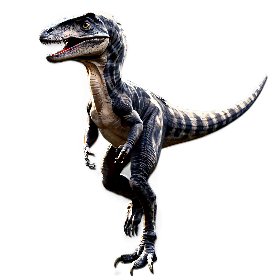 Velociraptor Illustration Png 06202024 PNG Image