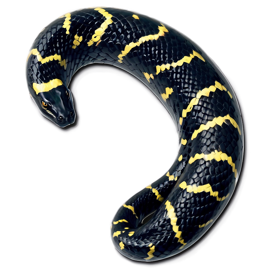 Venomous Black Snake Graphic Png 45 PNG Image