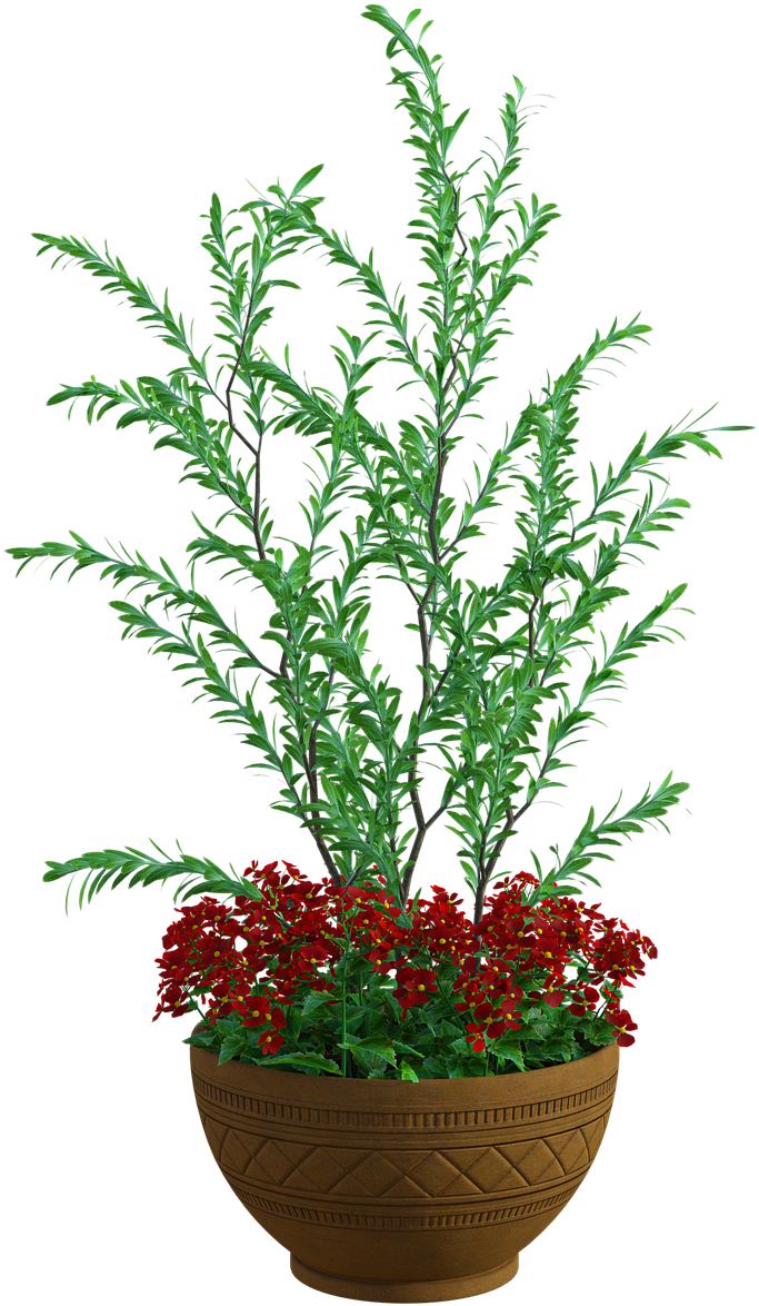 Verdant Planterwith Red Flowers PNG Image