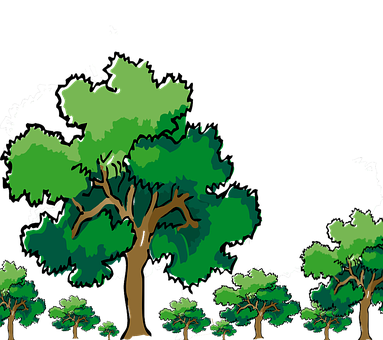 Verdant_ Tree_ Cartoon_ Illustration PNG Image