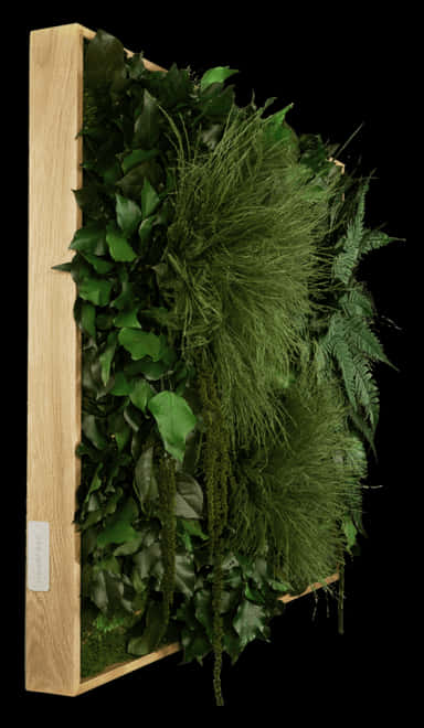 Vertical Garden Wooden Frame PNG Image