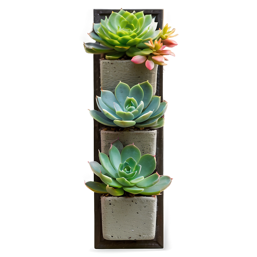 Vertical Succulent Garden Png Nyf79 PNG Image