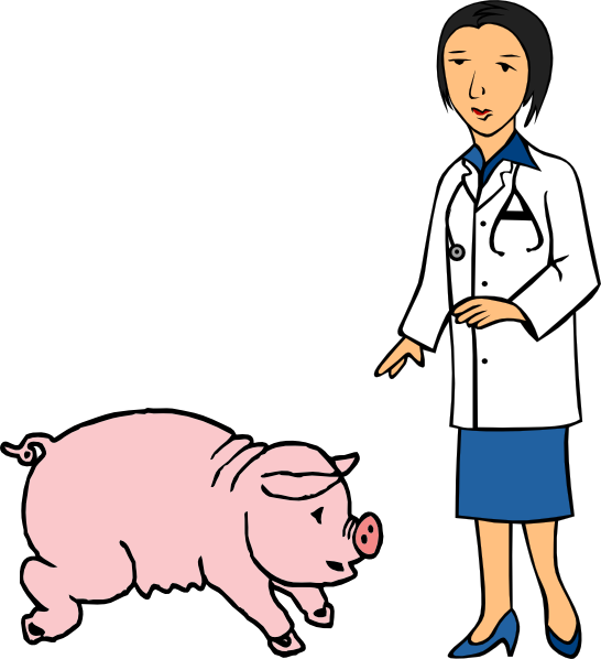 Veterinarian Examining Pig Clipart PNG Image