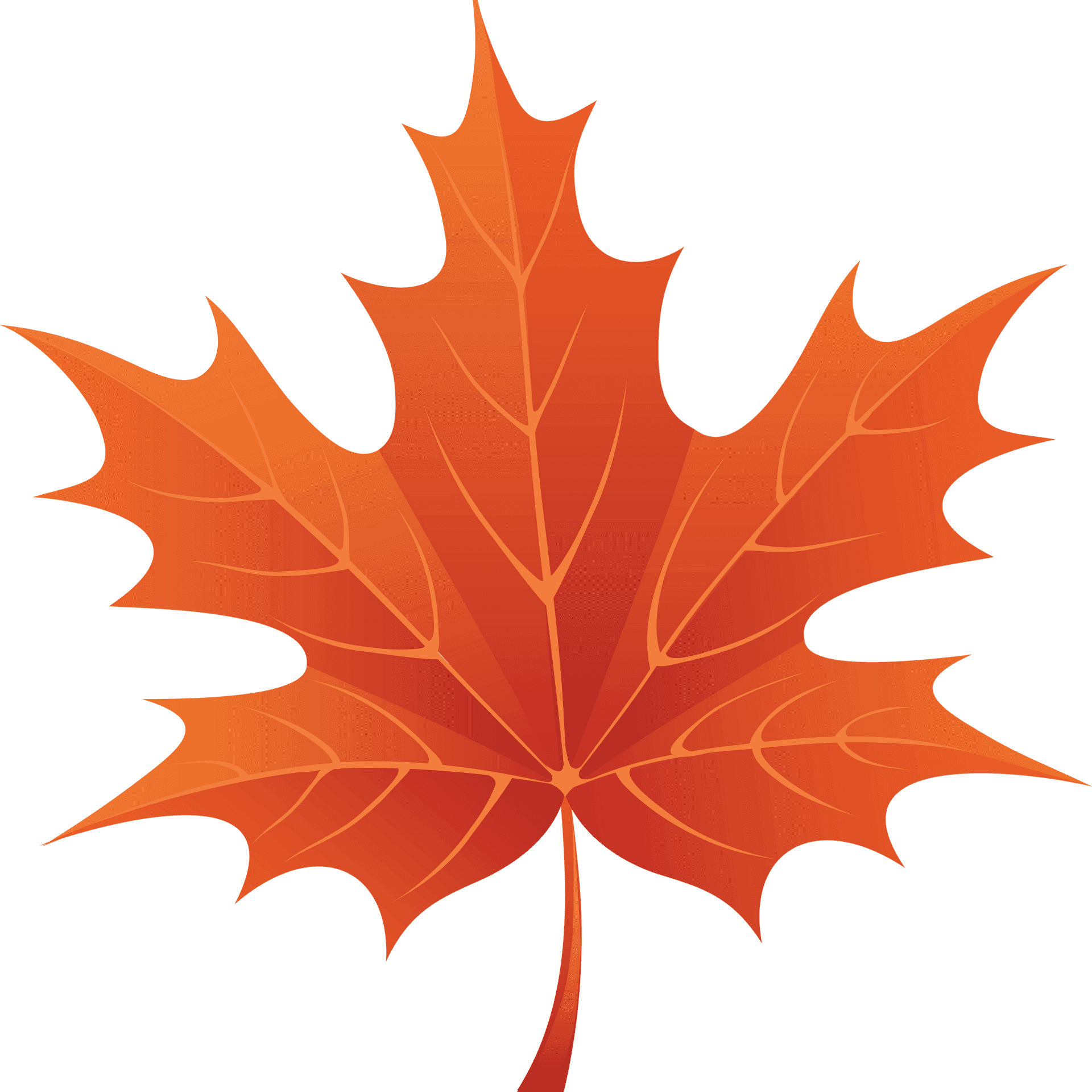 Vibrant Autumn Maple Leaf PNG Image