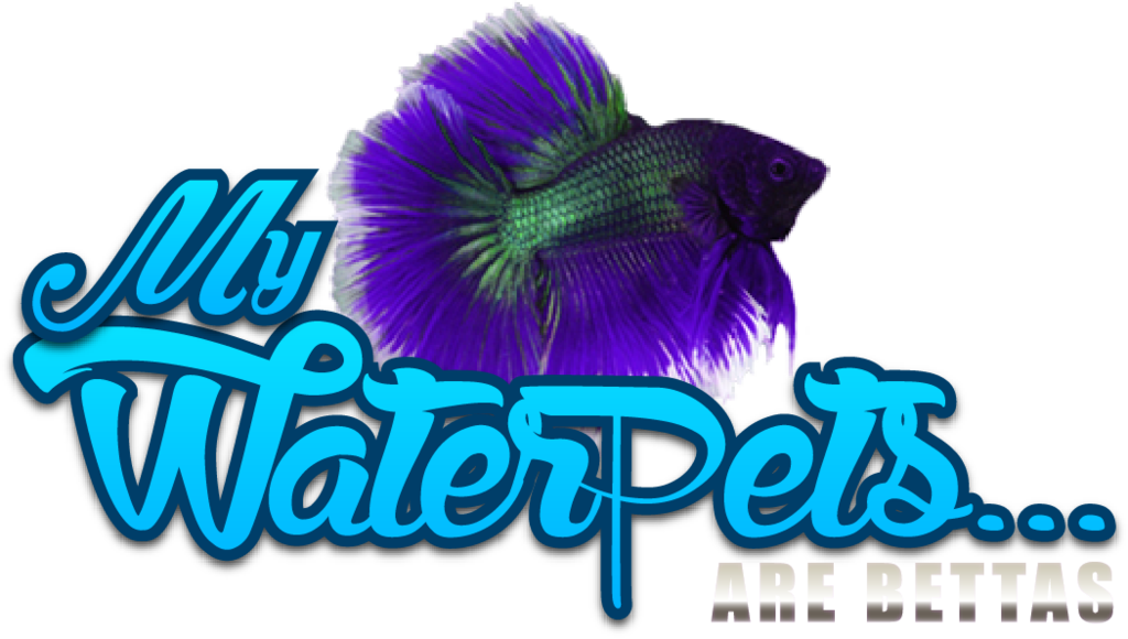 Vibrant Betta Fish Graphic PNG Image