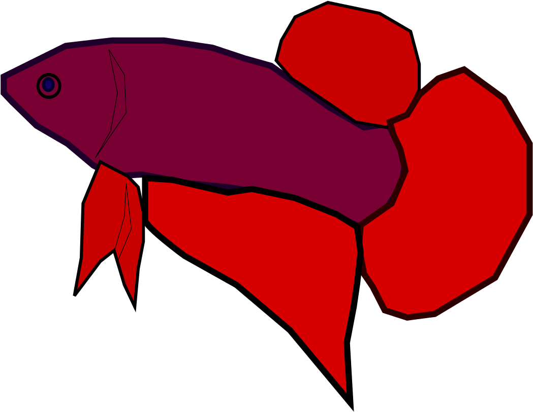 Vibrant Betta Fish Illustration.png PNG Image