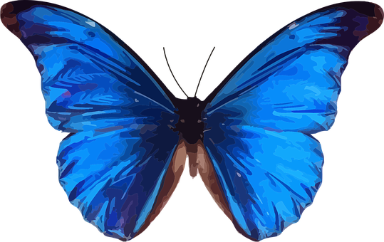 Vibrant Blue Butterfly Art PNG Image